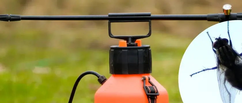 Skuteczne sposoby na odstraszenie much z elewacji budynku