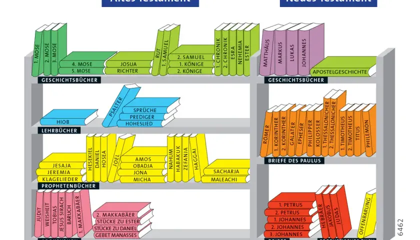 Bücherregal mit Büchern, die den Inhalt des Neuen Testaments darstellen, sortiert nach Gattungen wie Geschichtsbücher, Briefe des Paulus und prophetische Bücher.
