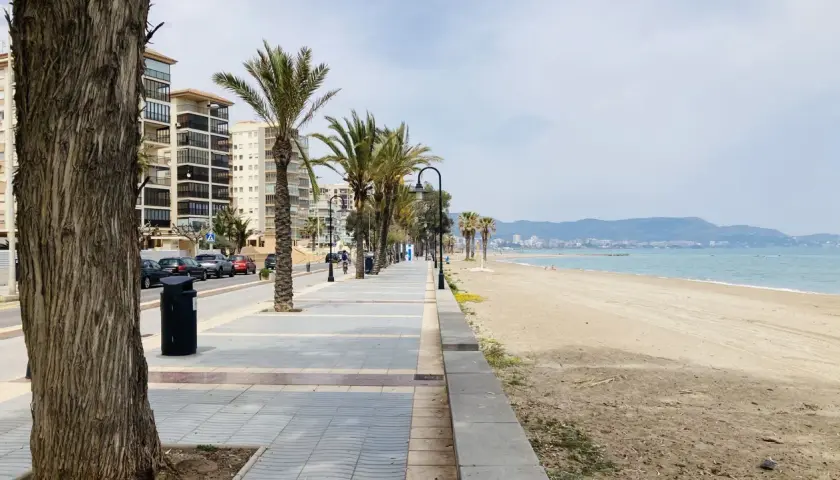 Paseo marítimo con palmeras y edificios modernos junto a la playa del Gurugú. El mar azul y las montañas al fondo crean un paisaje sereno.