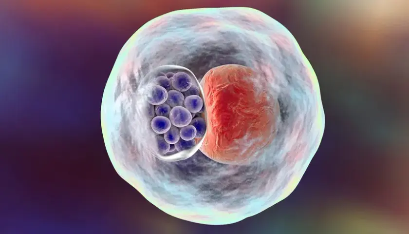 Chlamydia pneumoniae objawy neurologiczne: rzadkie, ale groźne skutki