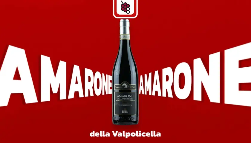 Butelka Amarone della Valpolicella, wina z metodą appassimento, na tle białych liter "AMARONE".