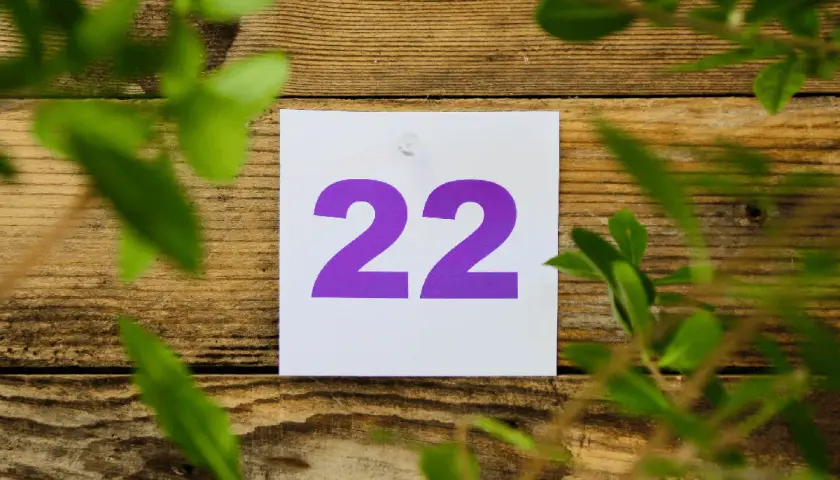 Liczba Mistrzowska 22 - Numerologia 22 - Znaczenie i Wpływ