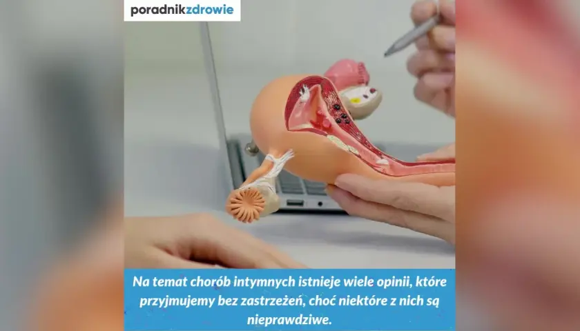 Model anatomiczny narządów rodnych kobiety, omawiający choroby intymne, w tym pęcherzycę.