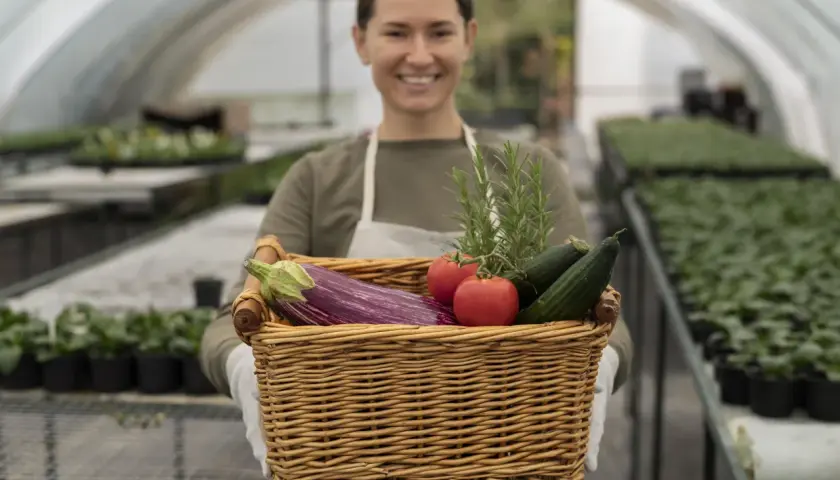 Une opératrice certiphyto souriante tient un panier rempli de légumes frais : aubergine, tomates, concombres et romarin, dans une serre.