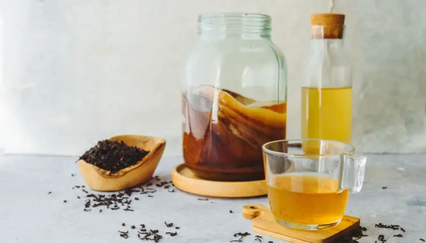 Jaka herbata do kombuchy? Ekspert radzi: wybierz dla zdrowia SCOBY!