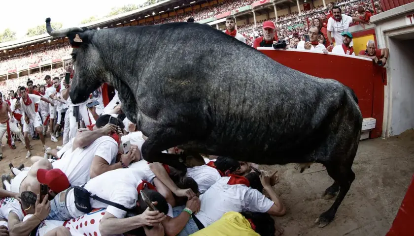 Un toro gris salta sobre un montón de gente en los chiqueros de la plaza de toros.