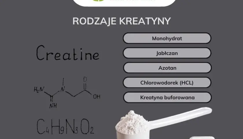 Kreatyna codziennie: Czy warto? Poznaj zasady dawkowania i bezpieczeństwo