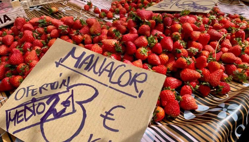 Frische Erdbeeren auf einem Markt in Manacor Altstadt. Ein Schild zeigt "Oferton Medio 3€ Kilo".