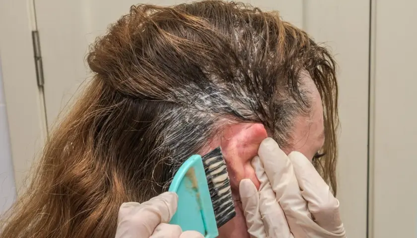 Manos enguantadas usan un cepillo para aplicar tinte en el cabello. Si te manchas la piel, aquí te explicamos como quitar el tinte de la piel.