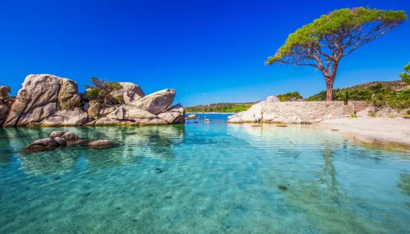 Traumhafte Bucht mit Felsen und einem Pinienbaum. Perfekt für die Frage: wohin im Oktober? Türkises Wasser lädt zum Schwimmen ein.