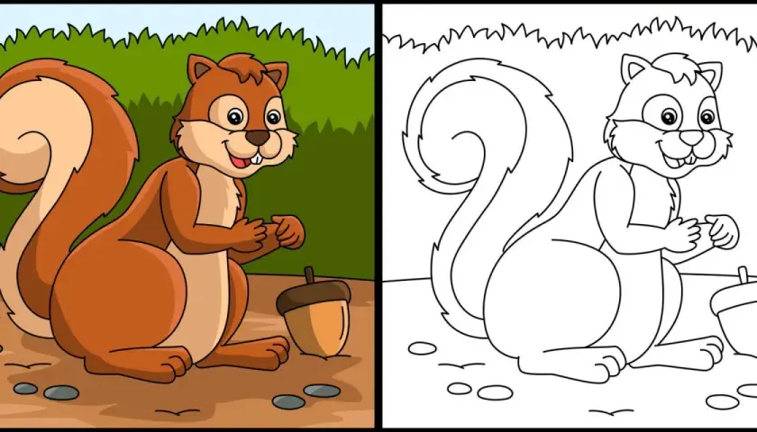 Dibujo ardilla para colorear, con su bellota lista para ser pintada.