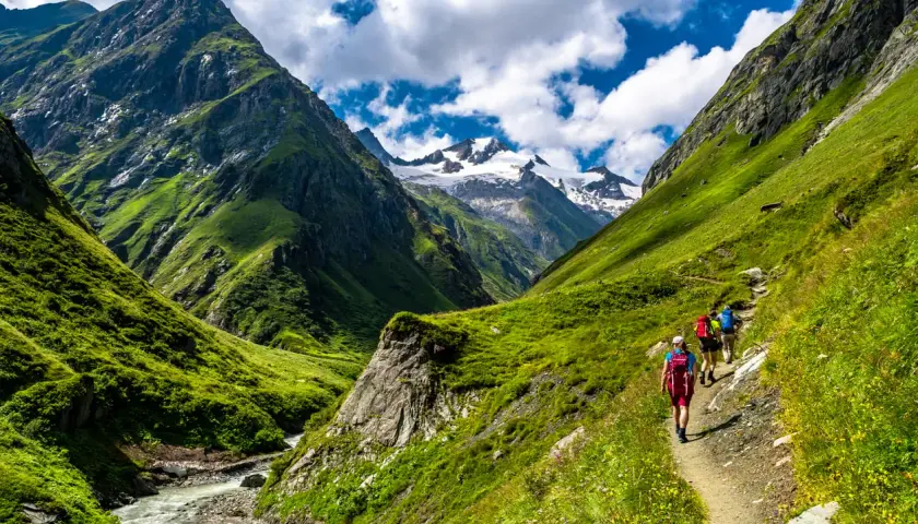 Hikers on a trail amidst lush green mountains, experiencing the beauty of long distance hikes in Europe. Snow-capped peaks loom in the distance.