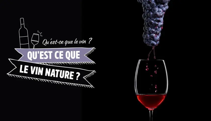 Gouttez le meilleur vin nature ! Des grappes de raisin tombent dans un verre, le vin rouge coule. Le texte "Qu'est-ce que le vin ? Qu'est-ce que le vin nature ?" est affiché.