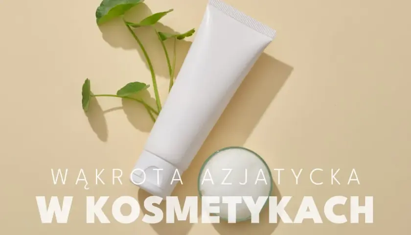 Biała tubka kosmetyku i gałązka z listkami, obok małe naczynie z pianką. Wąkrota azjatycka w kosmetykach.