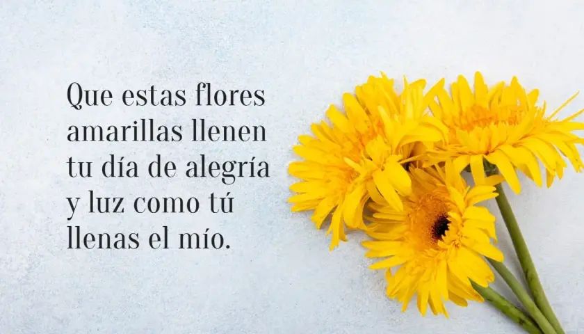 Flores amarillas, como frases sobre la primavera, llenan de alegría y luz.