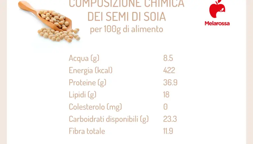 Composizione chimica dei semi di soia: scopri le proprietà nutrizionali, ricche di proteine e fibre, con pochi lipidi e zero colesterolo.