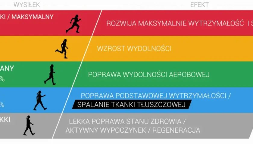 Grafika przedstawia poziomy wysiłku i ich efekty. Strefa aerobowa jest kluczowa dla poprawy wydolności.