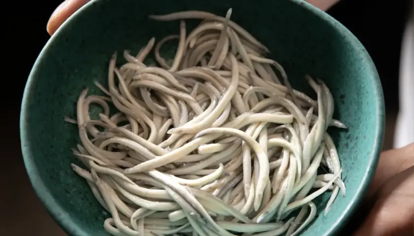 Un cuenco verde lleno de angulas congeladas, listas para ser cocinadas.