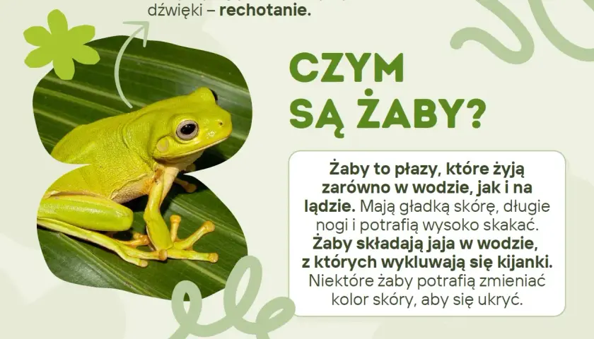 Zielona żaba siedząca na liściu, z tekstem "Czym są żaby?".