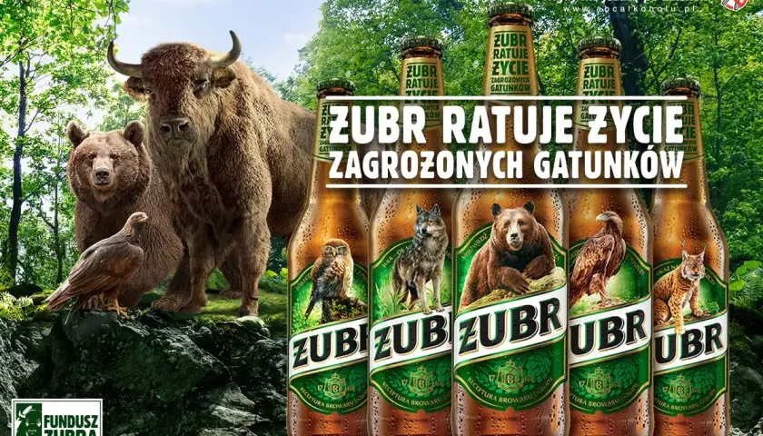 Żubr, niedźwiedź, wilk i orzeł – symbol białowieskiego parku narodowego i zagrożonych gatunków. Fundusz Żubra dla przyrody.