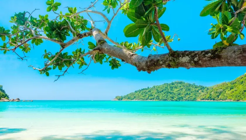 Traumhafte Bucht mit türkisblauem Wasser und üppiger Vegetation. Perfekt für die besten Reiseziele im Juli.
