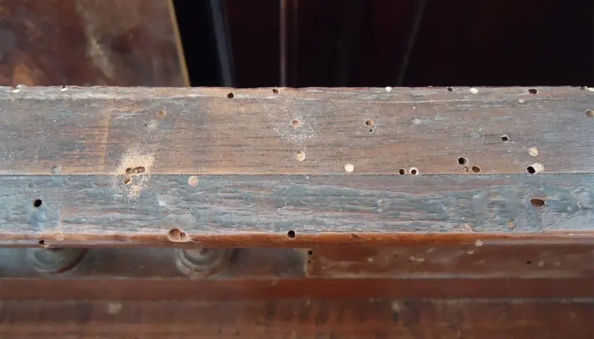 Legno di mobile con numerosi fori, segno di infestazione da tarli mobili.
