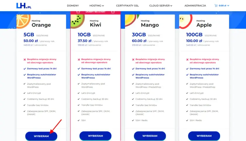Chcesz wiedzieć, jak zrobić stronę w WordPress? Sprawdź hostingi z autoinstalatorem WordPress, darmowym testem i optymalizacją. Wybierz plan dla siebie!