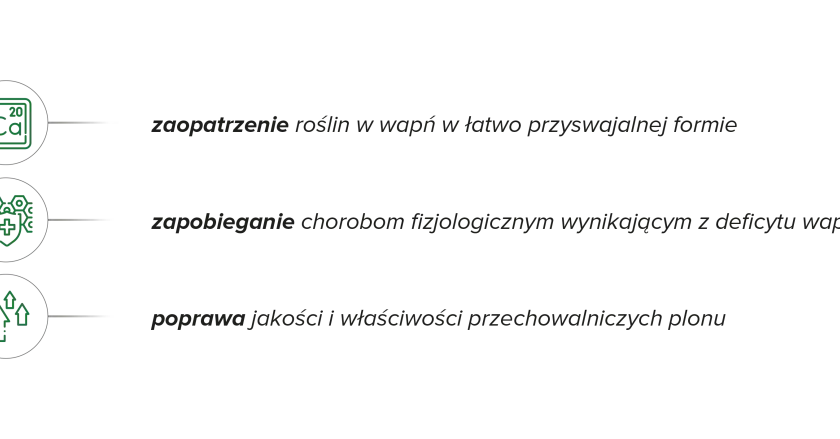 Wapń dla roślin: łatwo przyswajalny, zapobiega chorobom, poprawia jakość plonu. Wapnovit to klucz do zdrowych upraw.