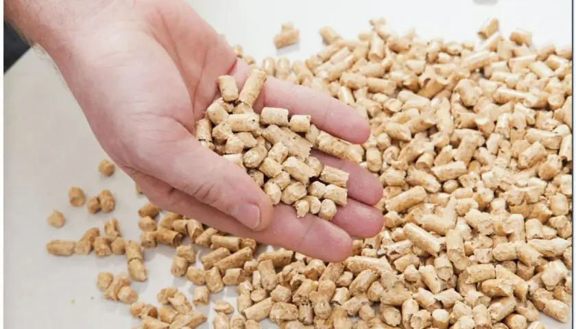 Dłoń trzymająca pellet drzewny. Zastanawiasz się, ile kosztuje paleta pelletu? To ekologiczne paliwo grzewcze.