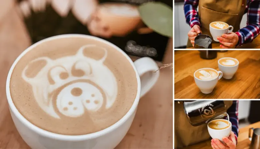 Kolaż zdjęć: biała filiżanka kawy z pianką w kształcie misia, barista nalewający kawę, dwie filiżanki kawy latte.