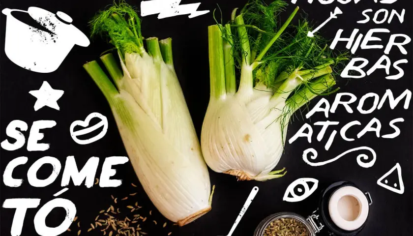 Hinojo: se come todo, sus hojas son hierbas aromáticas. Ideal para dar sabor a tus platos.