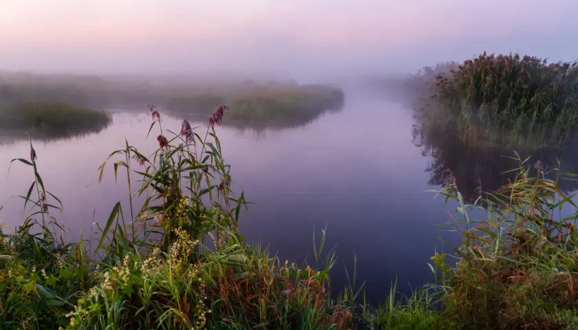 Narew: Miasta, historia i sekrety Polskiej Amazonii