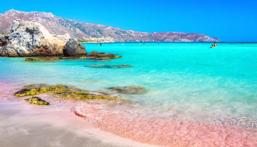 Różowa plaża Kreta z turkusową wodą i skalistym wybrzeżem. W oddali widać góry i kąpiących się ludzi.