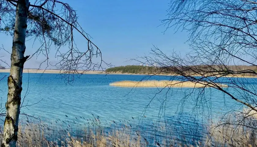 Wiosenny dzień nad Jeziorem Rybnickim. Woda lśni, a trzciny szumią na brzegu.