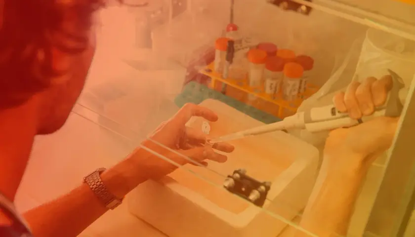 Badacz pracuje w komorze laminarnym, precyzyjnie pobierając próbki pipetą. To kluczowy etap w badaniach nad biotechnologią molekularną.