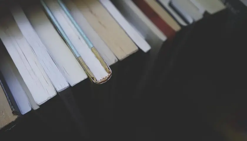 Grzbiet książki, jak ścieżka życia, sugeruje determinizm. Każda strona to kolejny krok, nieuchronny bieg zdarzeń.
