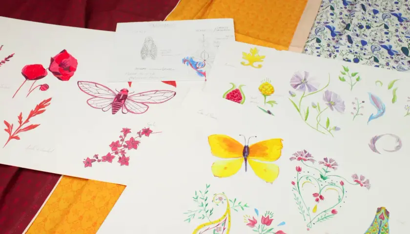 Croquis de motifs provençaux : coquelicots, cigale, papillon, grenade, fleurs et feuilles.