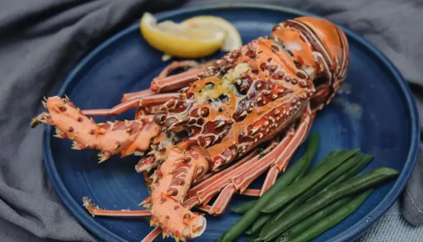 Una langosta marisco, cocinada y servida con judías verdes y una rodaja de limón en un plato azul.