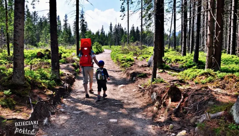 Tatry z dzieckiem: Sprawdzone szlaki dla rodzin, od wózka po starszaka