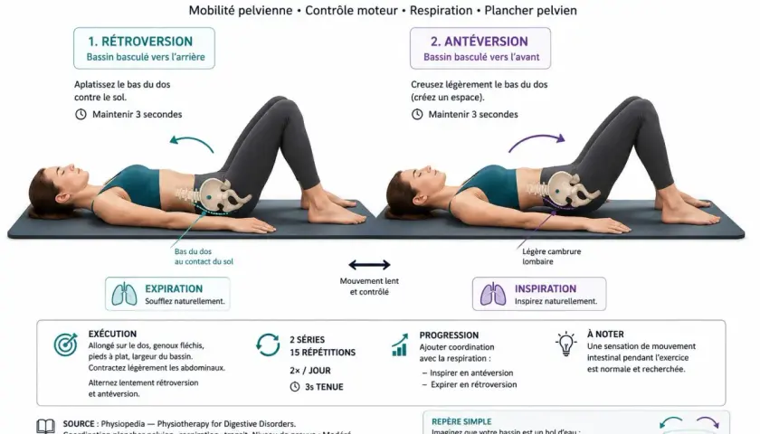 Femme en position allongée effectuant des mouvements de bascule pelvienne pour assouplir les lombaires, alternant rétroversion et antéversion.