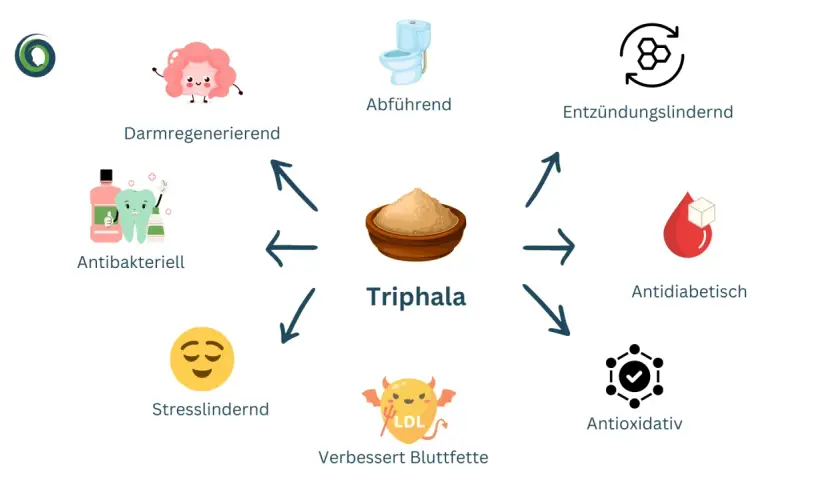 Die bio triphala wirkung: Darmregenerierend, abführend, entzündungslindernd, antidiabetisch, antioxidativ, verbessert Blutfette, stresslindernd, antibakteriell.