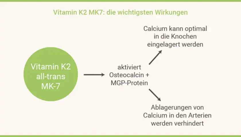 Die überraschenden Vorteile von K2MK7 Vitamin für Ihre Gesundheit
