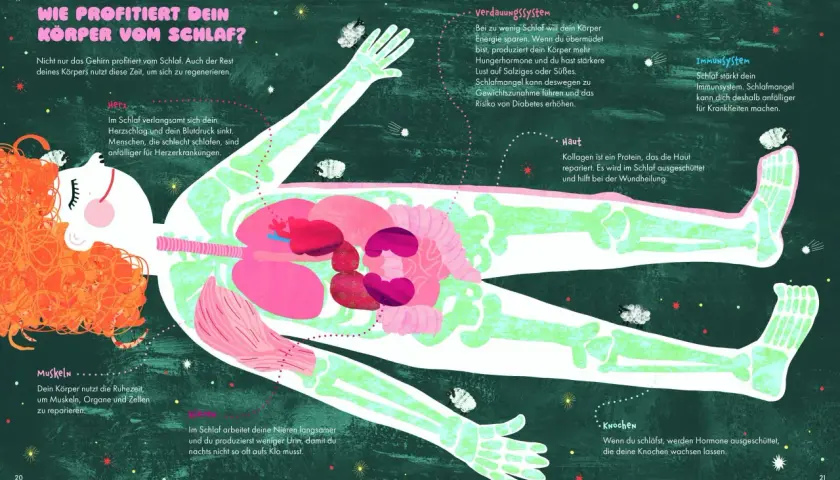 Illustration zeigt einen menschlichen Körper im Schlaf, dessen Organe und Knochen hervorgehoben sind. Schlaf ist wichtig für die Regeneration.