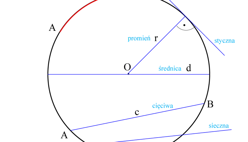 Ilustracja geometryczna z łukiem, promieniem, średnicą, cięciwą i sieczną. Obwód koła jest tu przedstawiony w kontekście tych elementów.