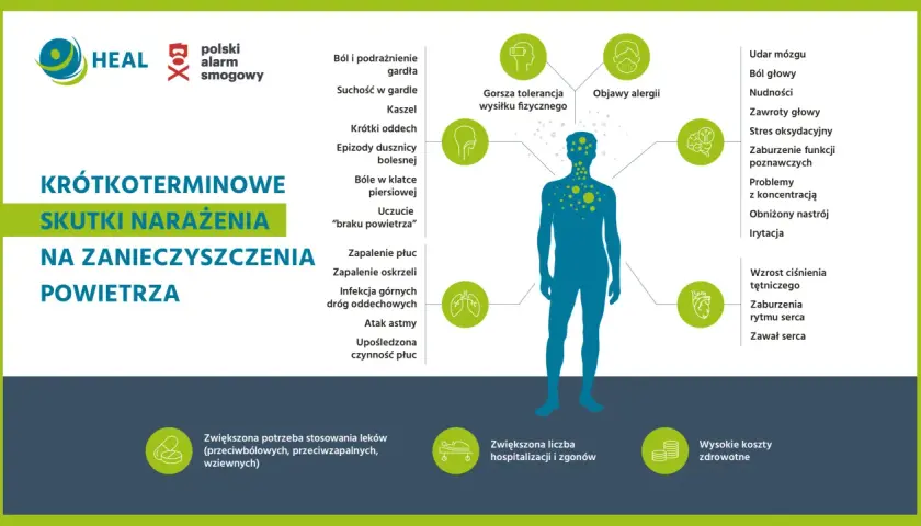 Ilustracja przedstawia sylwetkę człowieka z ikonami symbolizującymi skutki krótkoterminowego narażenia na zanieczyszczenia powietrza.