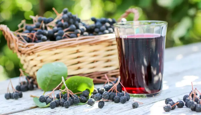 Aronia w koszyku i szklanka nalewki. To przepis babci na nalewkę z aronii, idealny na jesienne wieczory.