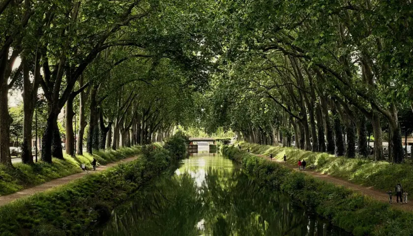 A serene canal du midi bike tour path lined with lush trees, their branches forming a green canopy over the tranquil water reflecting the scene.