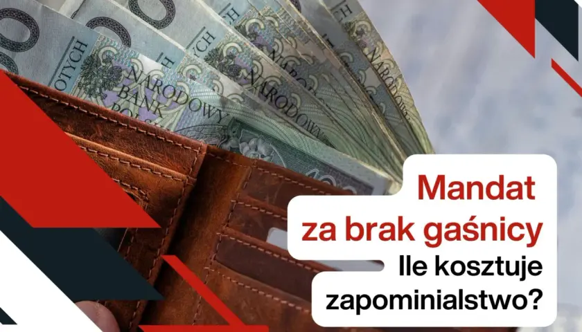 Portfel z polskimi banknotami. Jaki mandat za brak gaśnicy? Ile kosztuje zapominialstwo?