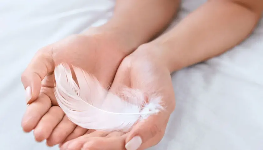 Manos sostienen una pluma blanca, símbolo de paz y pureza. Su delicadeza evoca la ligereza y el significado de la pluma blanca.