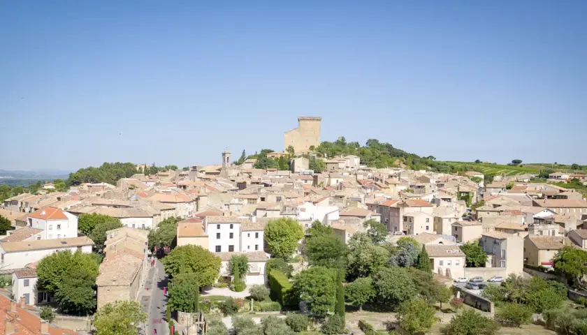 Vue panoramique de Châteauneuf-du-Pape, village pittoresque sur la route des vins, avec son château médiéval dominant les toits ocres et les vignobles.
